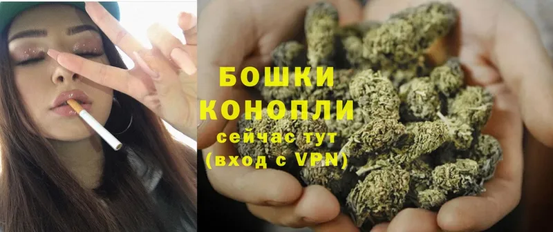 Конопля THC 21%  darknet формула  Макаров 